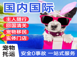 徕宁空运代理国际宠物托运 【国